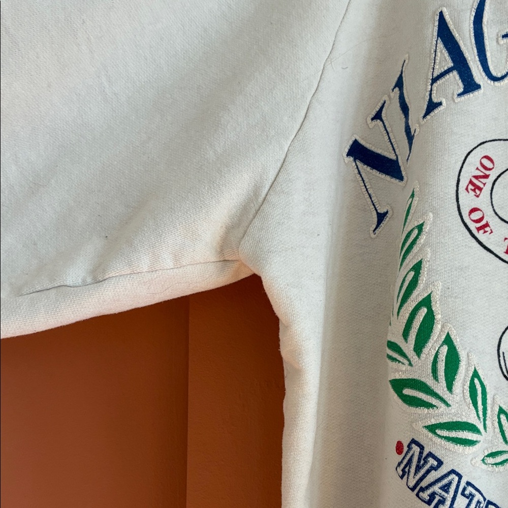 Niagara Falls Graphic Sweatshirt - Picture 3 of 5